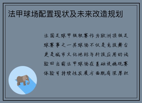 法甲球场配置现状及未来改造规划